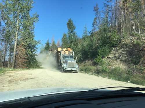 active logging road