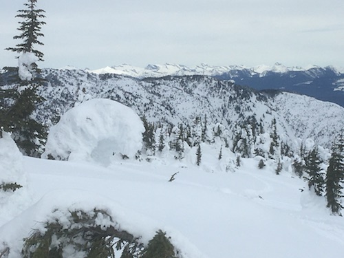 mount fowler