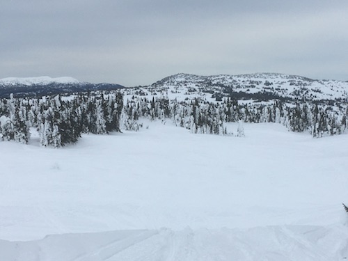mount mobley
