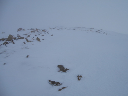 heading towards grizzly