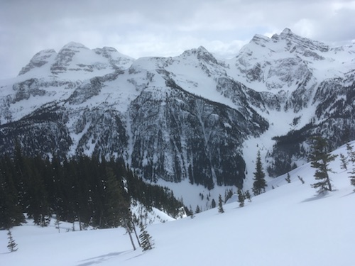 mounts begbie and tilley