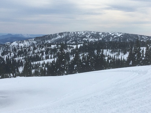 crowfoot mountain