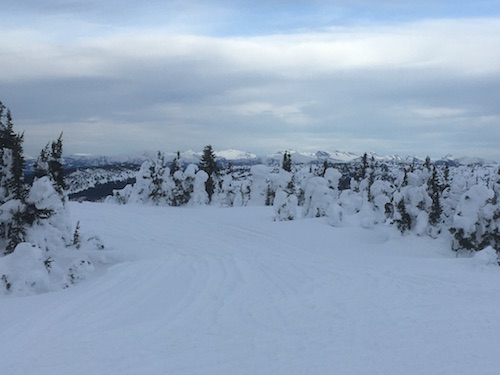 on the summit