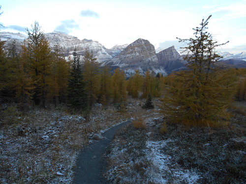 descending after the show