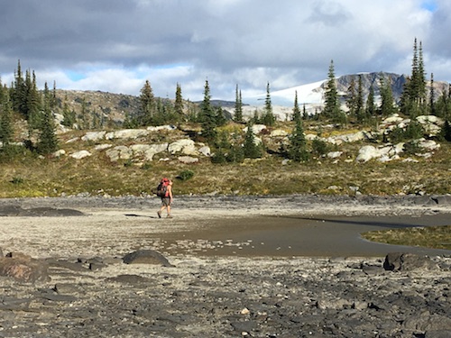 on the plateau