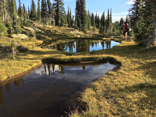 more lovely ponds