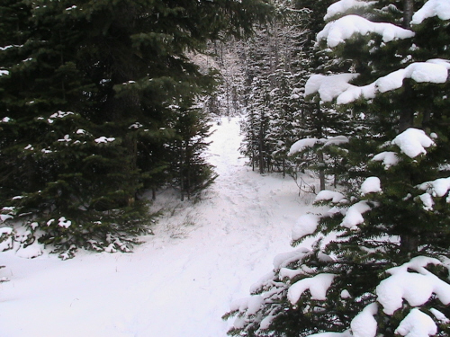 trail to the pass
