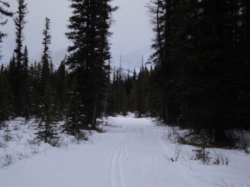 packers ski trail